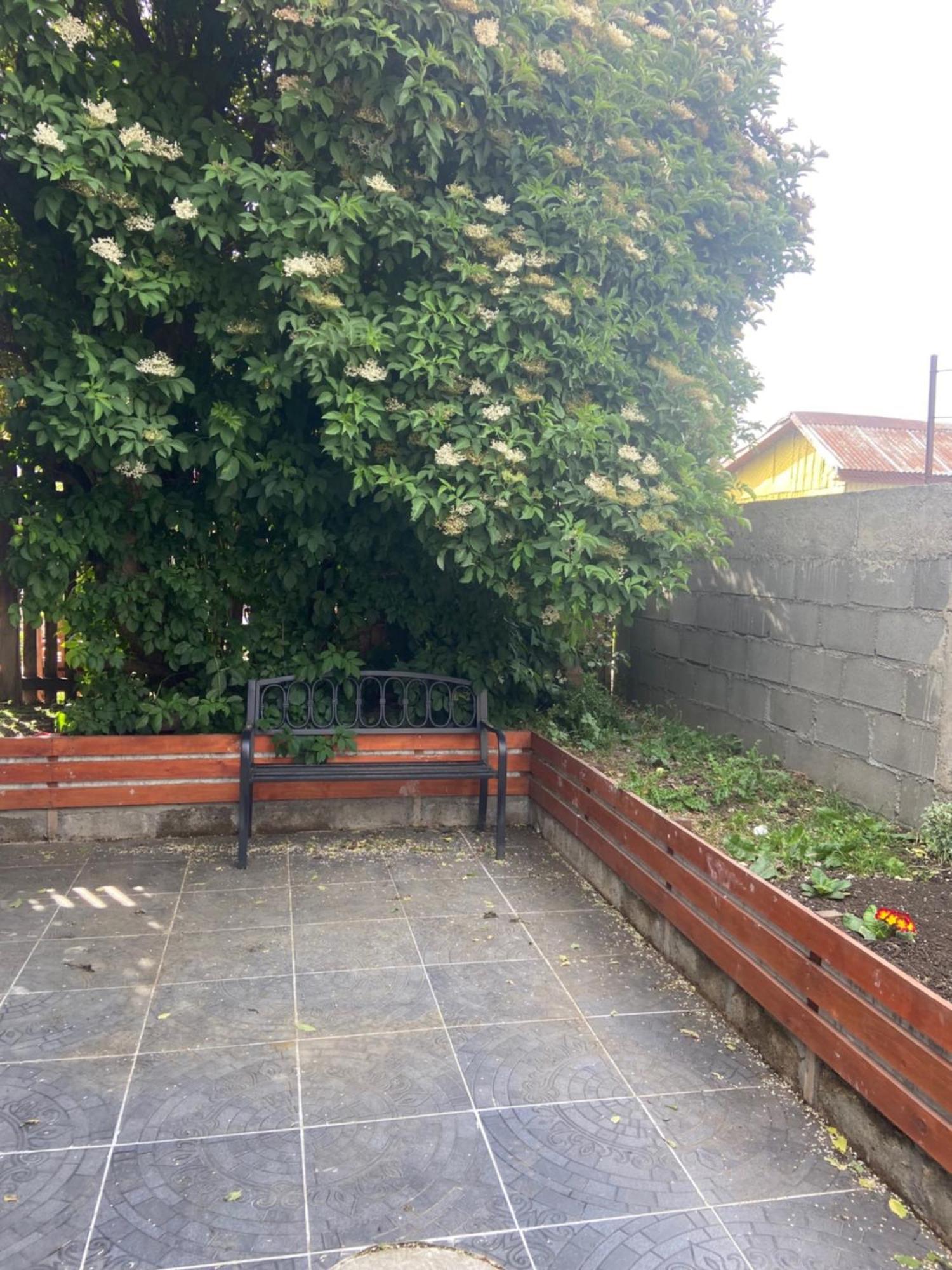 Cabanas Bosque Austral Punta Arenas Ngoại thất bức ảnh